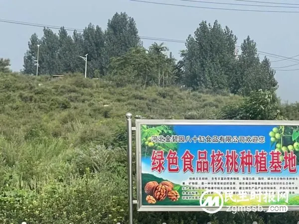 核桃林里的致富经