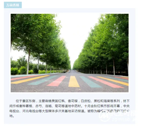 太行药王谷景区获评国家3A旅游景区