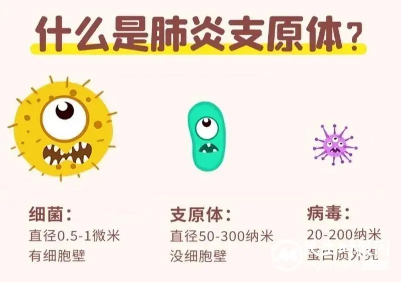 近期肺炎支原体感染增多 如何更好防治? 近期肺炎支原体感染增多 如何更好防治? 