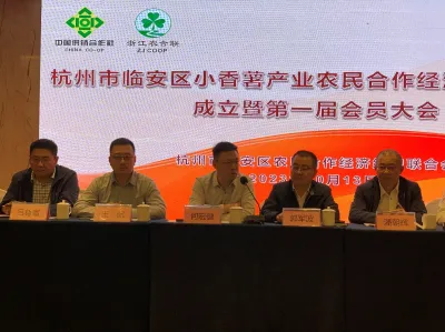 平安产险杭州中支党总支:党建引领添合力 用心为民办实事 ——党建互联共建 线上直播助农