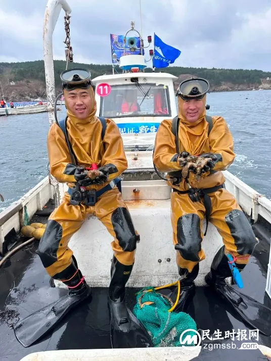 200名潜水员下海 大连海参冬捕季开捕 京东超市推出1111份限量定制款