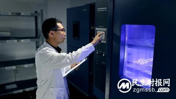 领航Mini LED时代,TCL实业盘古实验室推动显示行业技术革新 领航Mini LED时代,TCL实业盘古实验室推动显示行业技术革新
