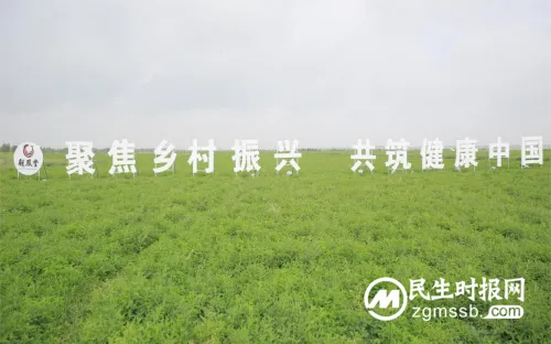 展现民族药企担当,扬子江药业集团获“2023年度责任企业”称号 展现民族药企担当,扬子江药业集团获“2023年度责任企业”称号