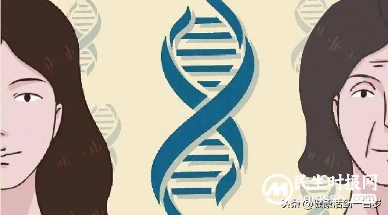 人的一生有3个衰老加速期,八子补肾帮你留住年轻态 人的一生有3个衰老加速期,八子补肾帮你留住年轻态