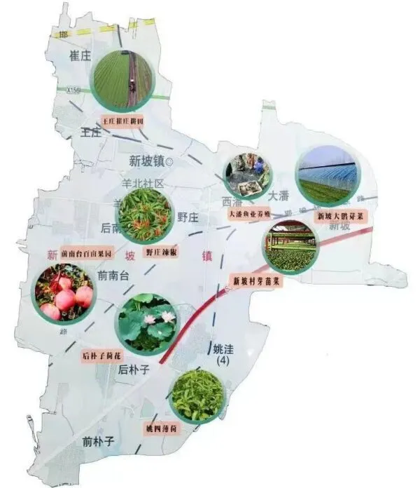 看!新坡新图景,这样描绘→