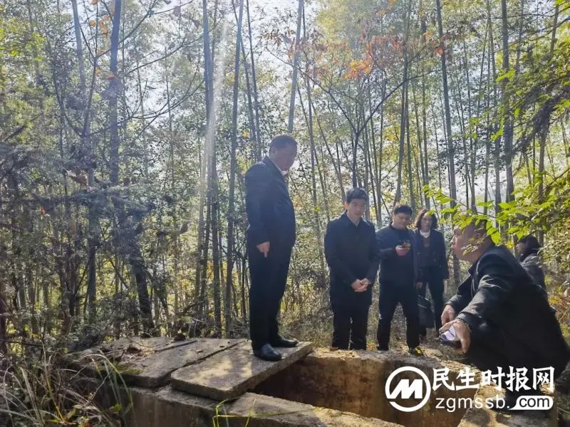 周长林赴巴江村调研乡村振兴工作:筑牢乡村振兴根基 持续增进民生福祉 周长林赴巴江村调研乡村振兴工作:筑牢乡村振兴根基 持续增进民生福祉