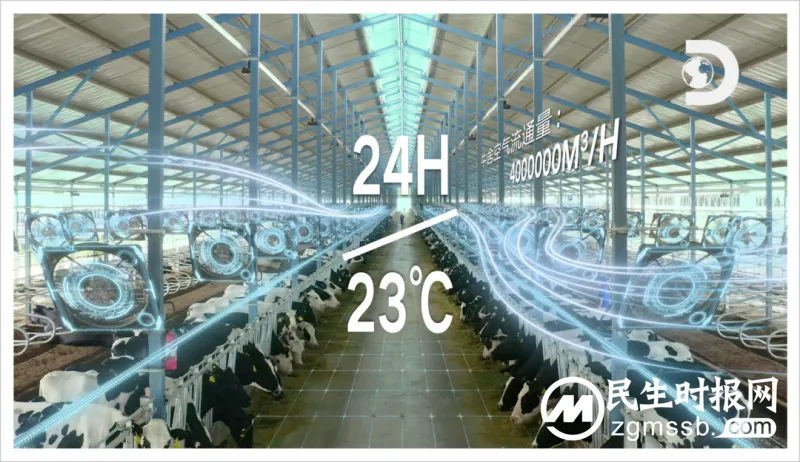 Discovery罕见聚焦，探寻中国乳业全产业链背后的科学密码