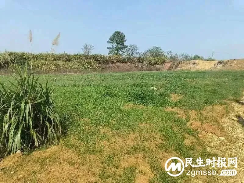 湘潭市资规局多措并举顺利完成“夏季攻势”矿山生态修复任务销号 湘潭市资规局多措并举顺利完成“夏季攻势”矿山生态修复任务销号