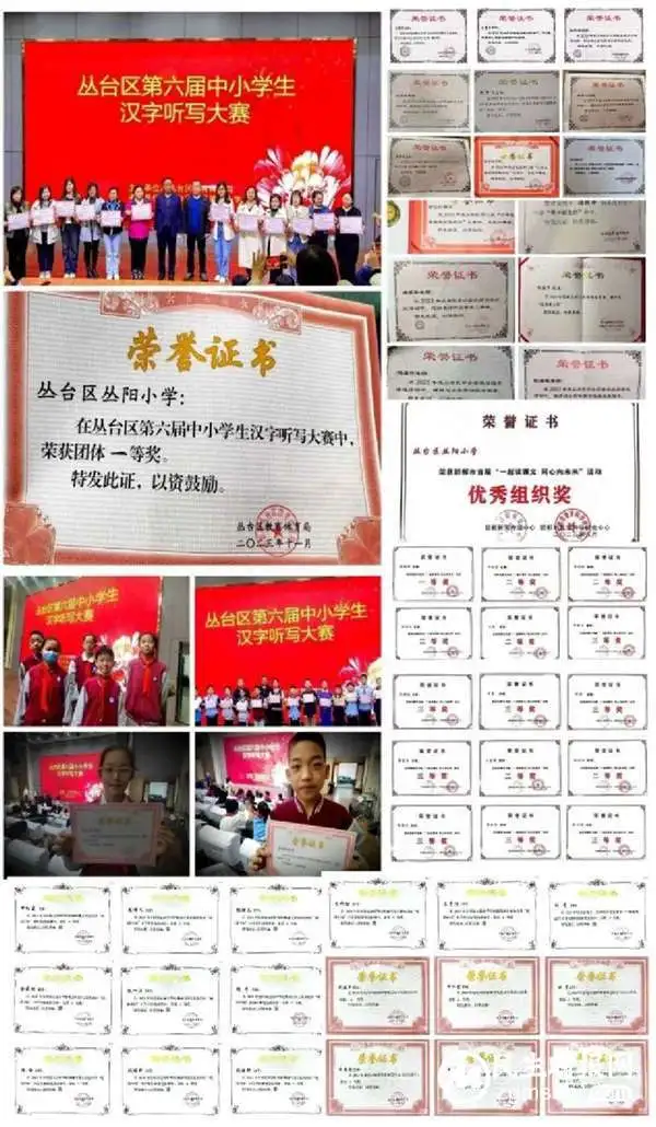 请查收邯郸市丛台区丛阳小学2023答卷