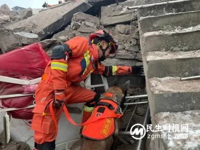 镇雄山体滑坡救援——战斗在救援一线的消防搜救犬