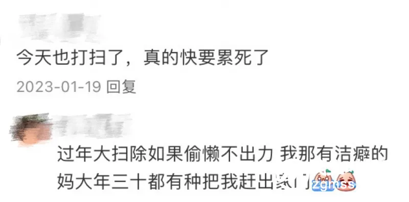 最近的年轻人,开始流行当“过年主理人”
