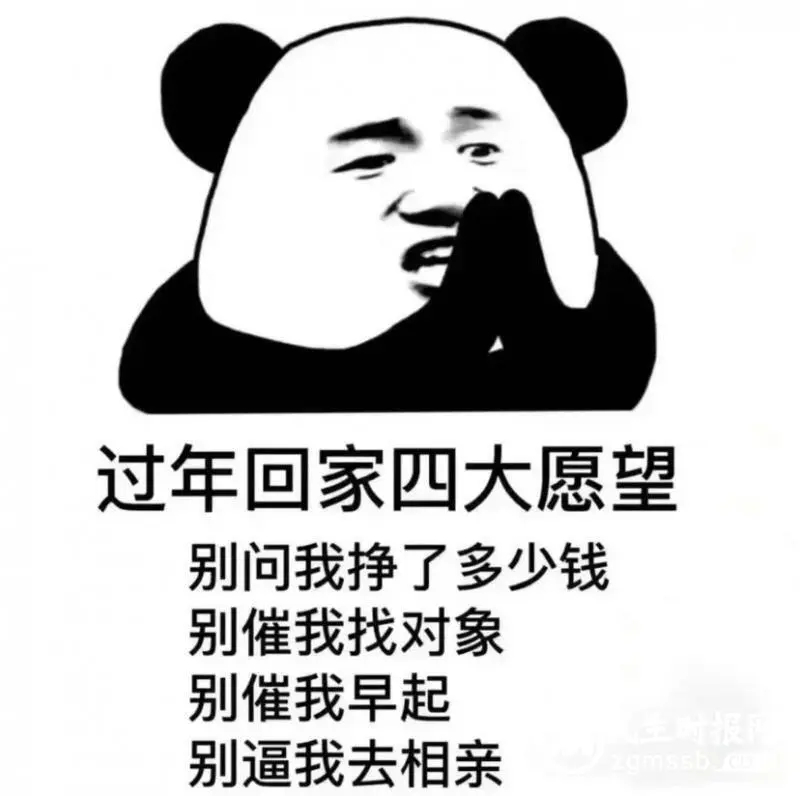 最近的年轻人,开始流行当“过年主理人”