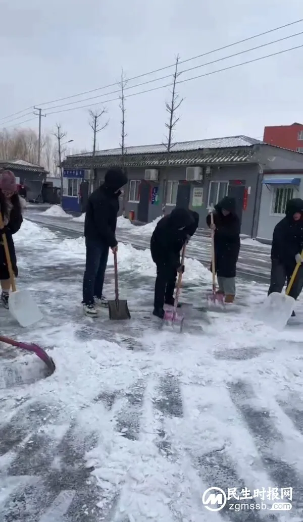 魏城镇中心校辖区学校校园清雪除冰纪实
