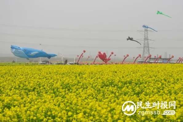 河北沙河市2024年红薯岭“油菜花赏花季”活动正式启动