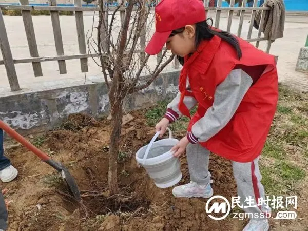 植树春风里,且看山河绿——丛阳小学教育集团“志教融合”植树志愿活动