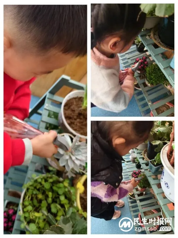 春暖花开 “植”得期待——魏县县直幼儿园植树节活动