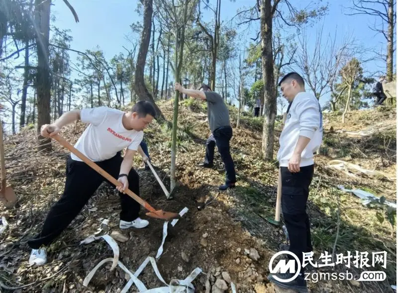 义务植树添新绿 湘潭交通执法部门积极践行绿色低碳生活 义务植树添新绿 湘潭交通执法部门积极践行绿色低碳生活