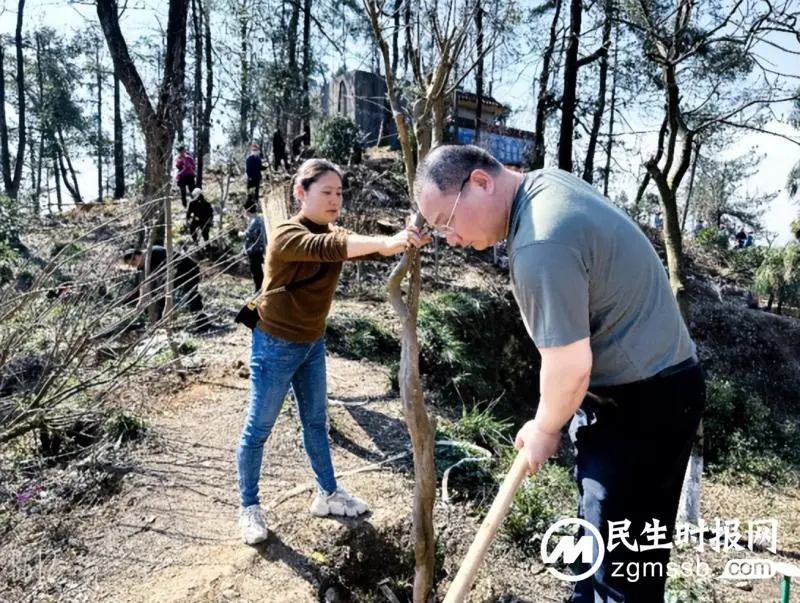 义务植树添新绿 湘潭交通执法部门积极践行绿色低碳生活 义务植树添新绿 湘潭交通执法部门积极践行绿色低碳生活