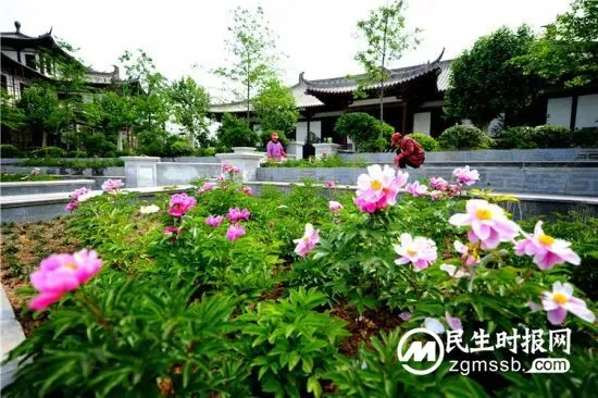 磁县“限定版”春日美景逐步上线!