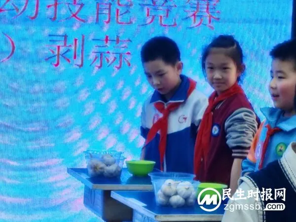 丛阳小学教育集团获丛台区第三届劳动成果展示“特等奖”!劳动技能竞赛“优秀组织奖”!