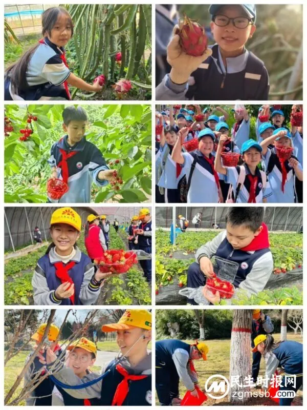党耀古赵 梦筑书苑