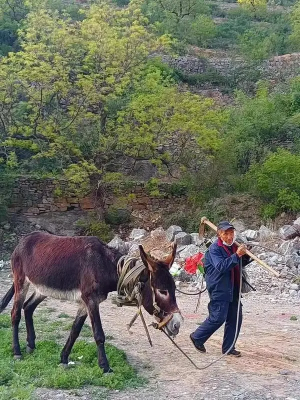 乐何山庄游记