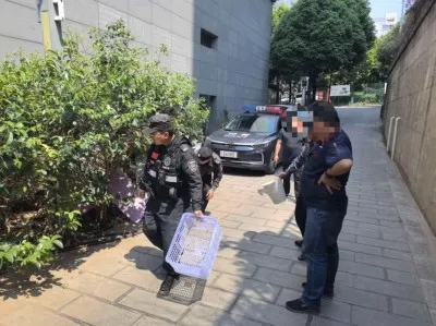 小刺猬“生病”蜷缩路边 警民联手暖心救助
