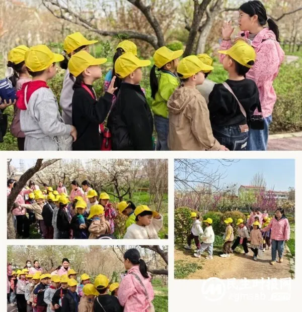 “又见家乡梨花开”——魏县县直幼儿园春游活动