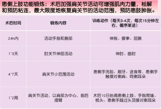 “乳”此精心,以宣教促康复 “乳”此精心,以宣教促康复