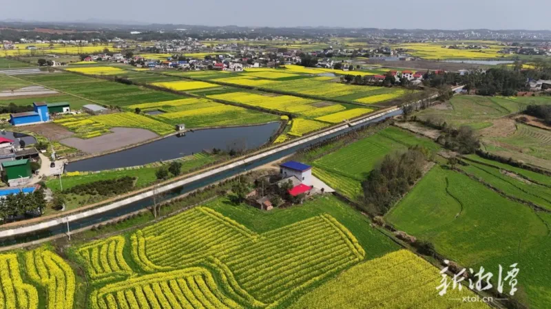 新槽渡“活水” 灌区育丰年——韶山灌区现代化改造项目效益增强 新槽渡“活水” 灌区育丰年——韶山灌区现代化改造项目效益增强