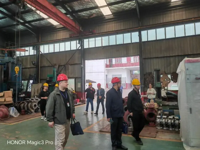 湘潭县应急管理局对工贸企业开展交叉执法检查 湘潭县应急管理局对工贸企业开展交叉执法检查