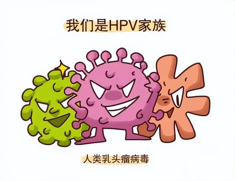 宫颈癌筛查及HPV知识,你想知道的都在这里! 宫颈癌筛查及HPV知识,你想知道的都在这里!