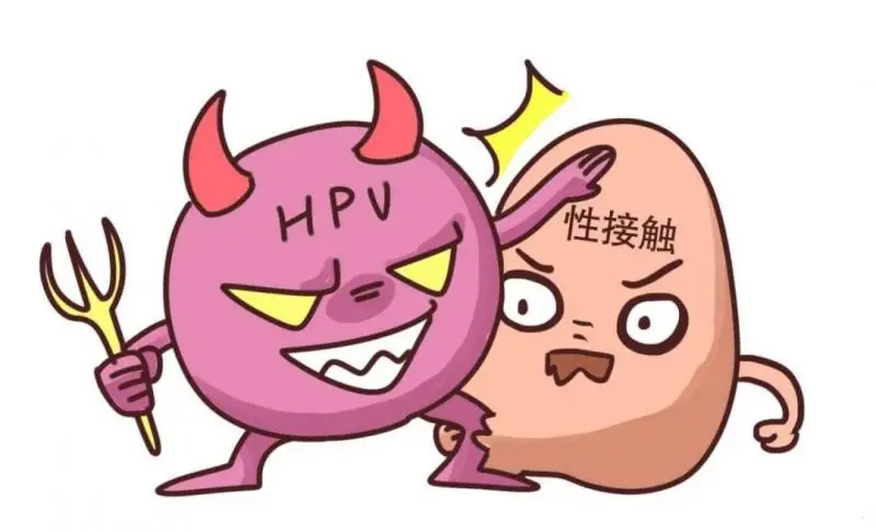 宫颈癌筛查及HPV知识,你想知道的都在这里! 宫颈癌筛查及HPV知识,你想知道的都在这里!