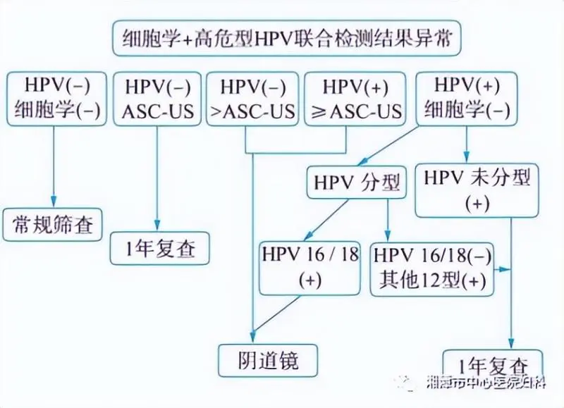 宫颈癌筛查及HPV知识,你想知道的都在这里! 宫颈癌筛查及HPV知识,你想知道的都在这里!
