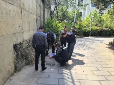 小刺猬“生病”蜷缩路边 警民联手暖心救助