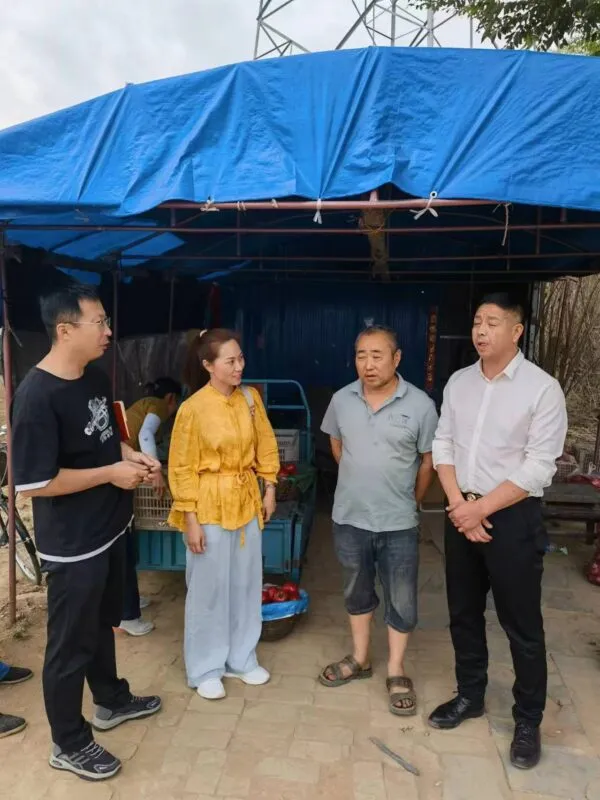 磁县小寨有机西红柿：比有机的还有机