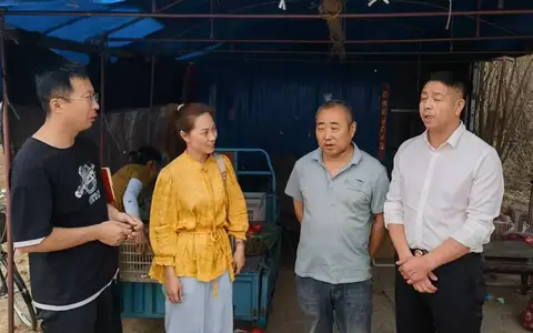 磁县小寨有机西红柿：比有机的还有机