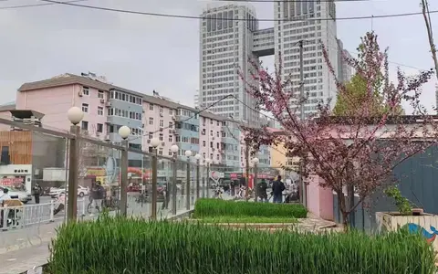 麦香润童心 劳动助成长——丛阳小学种植园收获季活动