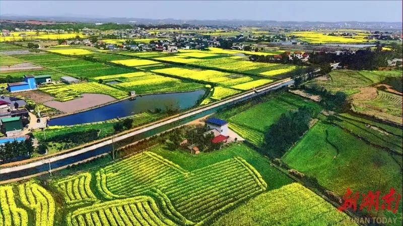 韶山灌区改造提速“渠”到水成 百万亩农田“喝”足春灌水 韶山灌区改造提速“渠”到水成 百万亩农田“喝”足春灌水