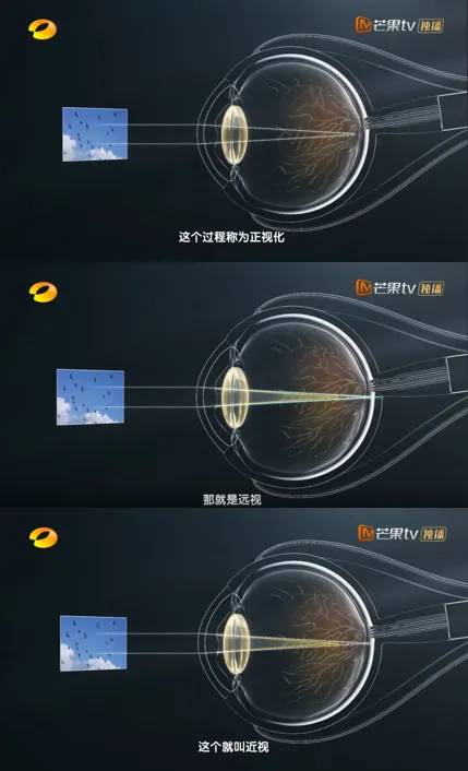 最精密的相机为什么比不过人眼?这部高分纪录片告诉你真相 最精密的相机为什么比不过人眼?这部高分纪录片告诉你真相