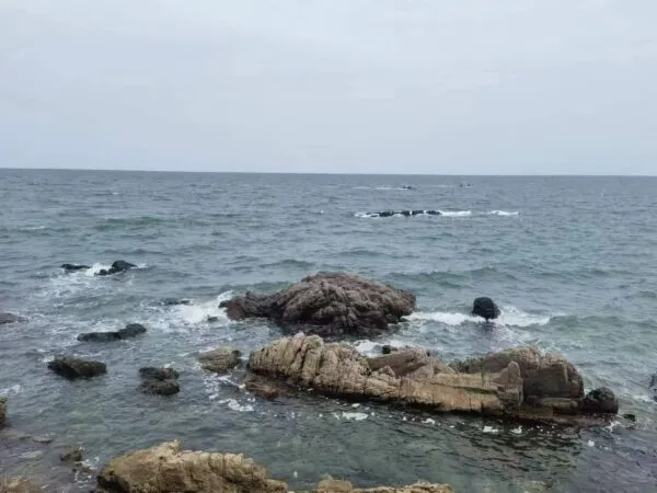 滨海游玩多花样 游客体验精彩港城