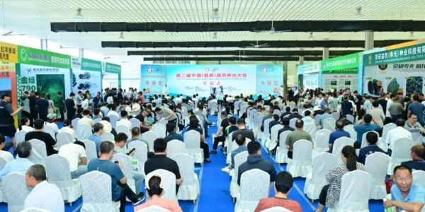 共商合作 同赢未来 第二届中国(曲周)蔬菜种业大会开幕