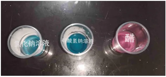 科技之光闪耀校园 创新活力激发未来 ——我校科技活动周圆满落幕