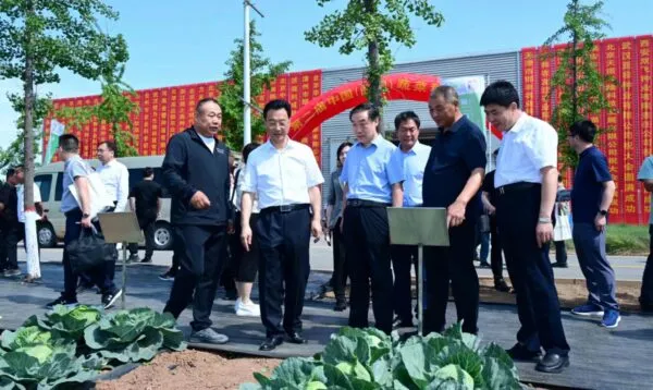 共商合作 同赢未来 第二届中国(曲周)蔬菜种业大会开幕