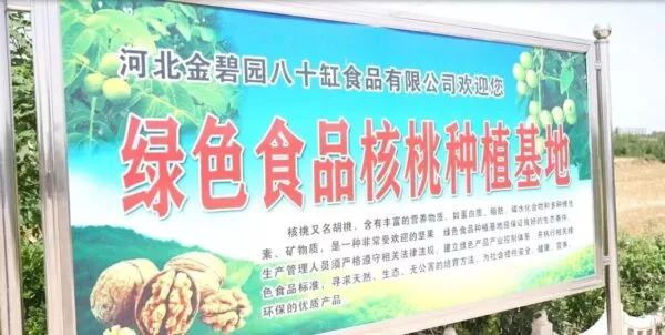 企业家风采 苗树奎:发展特色种植,“核”力拓宽致富路