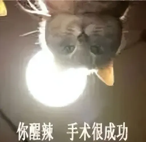 【中心医院·医者红】“隐秘的杀手”：当枢椎齿状突骨折袭来