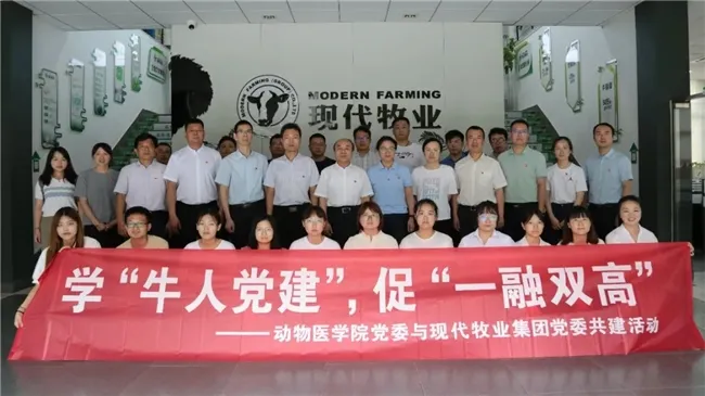 党建引领,护航现代牧业高质量发展 党建引领,护航现代牧业高质量发展