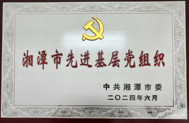 喜报!湘潭市不动产登记中心第二党支部获市先进基层党组织 喜报!湘潭市不动产登记中心第二党支部获市先进基层党组织