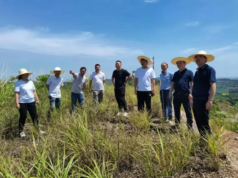湘潭市资规局赴县市区指导推进矿业权出让工作 湘潭市资规局赴县市区指导推进矿业权出让工作