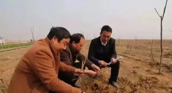 企业家风采 苗树奎:发展特色种植,“核”力拓宽致富路